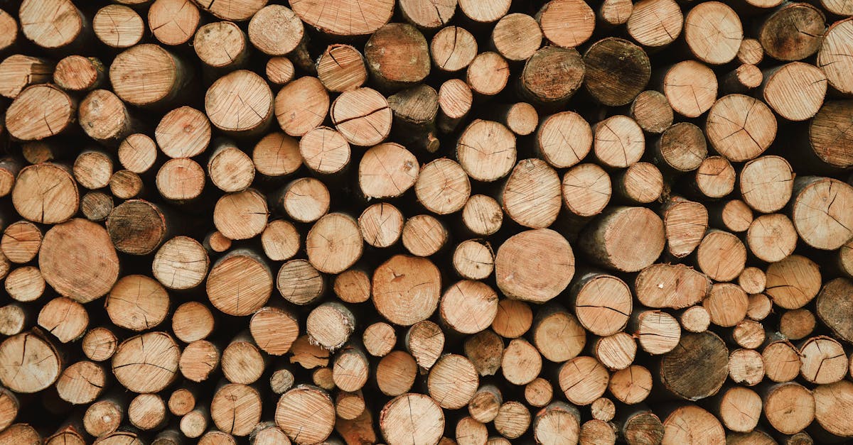 découvrez les innovations et tendances de l'industrie du bois, un secteur clé alliant tradition et modernité pour des solutions durables et écologiques.