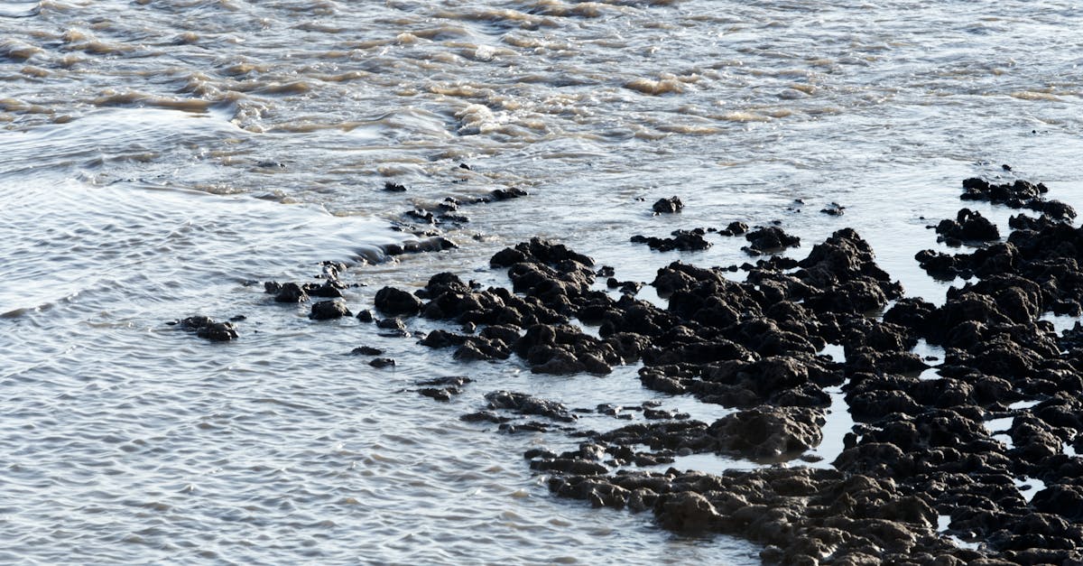 découvrez les causes, les impacts et les solutions à l'érosion côtière, un phénomène naturel qui menace les littoraux et les écosystèmes marins.