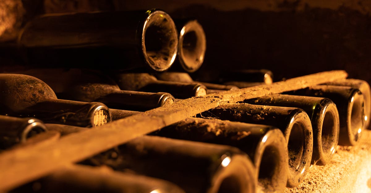 découvrez la vie fascinante d'éléonore d'aquitaine, reine influente du moyen âge, connue pour son intelligence, son pouvoir politique et son rôle dans l'histoire européenne.