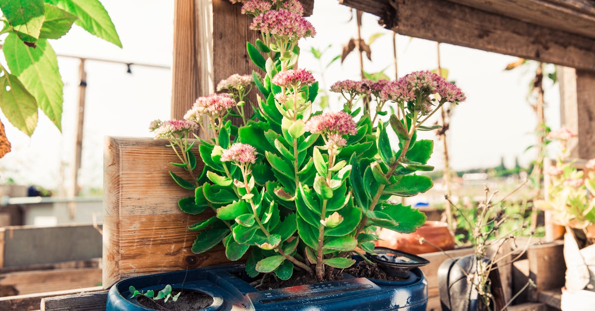 découvrez l'upcycling : donnez une seconde vie à vos objets en les transformant de manière créative et durable pour réduire les déchets et préserver l'environnement.