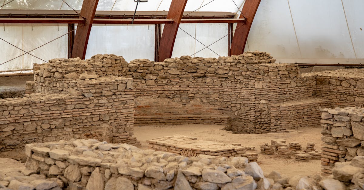 découvrez les mystères du passé avec l'archéologie, l'étude des civilisations anciennes à travers leurs vestiges et artefacts.