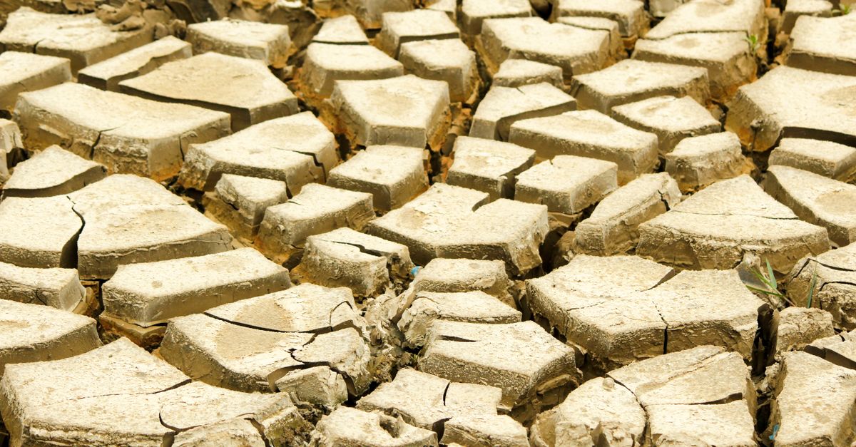 découvrez tout sur la canicule : conseils, prévention et actualités pour faire face à la chaleur intense.