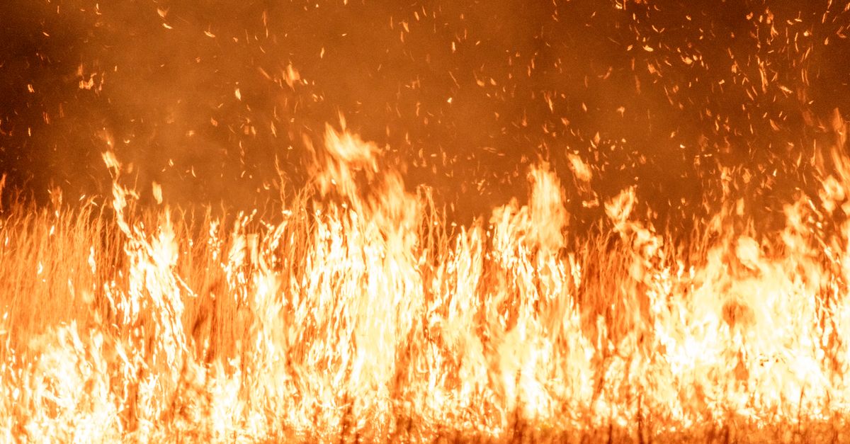 découvrez tout sur les incendies de forêt : causes, prévention, impacts et mesures de sécurité pour protéger l'environnement et les populations.