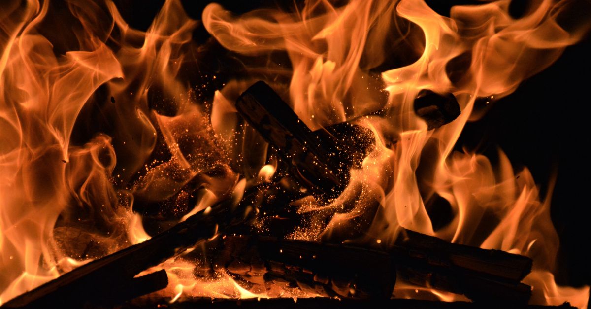découvrez tout sur les incendies de forêt : prévention, causes, impacts environnementaux et mesures de sécurité pour protéger nos écosystèmes.
