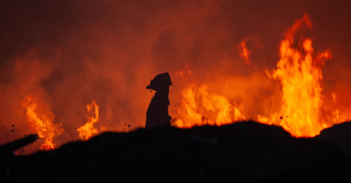 découvrez des informations essentielles sur les incendies de forêt, leurs causes, leurs impacts environnementaux et les mesures de prévention.