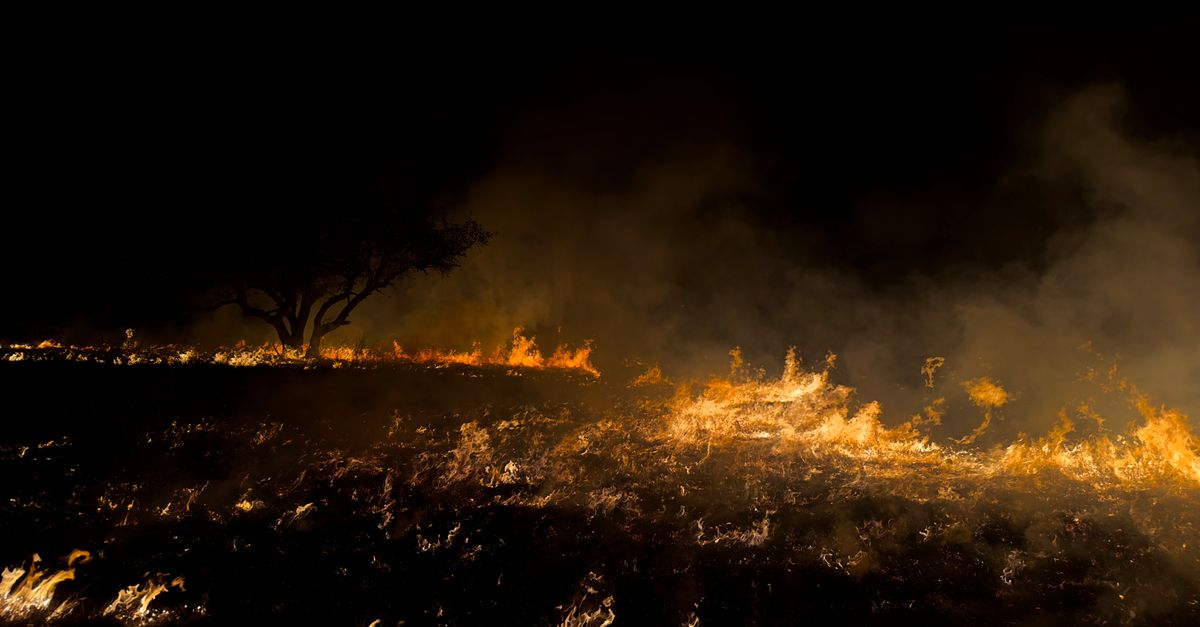 informations essentielles sur les incendies de forêt : causes, prévention, conséquences et moyens de protection.
