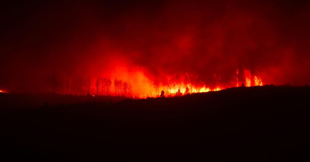 découvrez les causes, impacts et mesures de prévention des incendies de forêt, un phénomène naturel et souvent dévastateur.