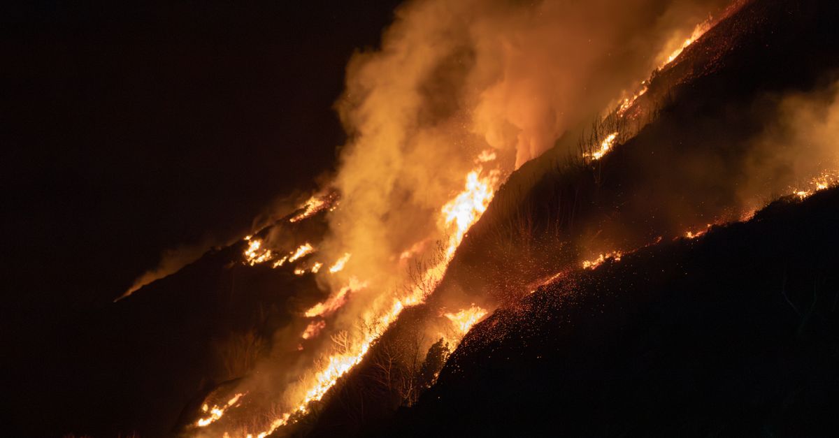découvrez tout sur les incendies de forêt : causes, prévention, impacts et mesures de sécurité pour protéger les personnes et l'environnement.
